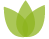 logo_decoration